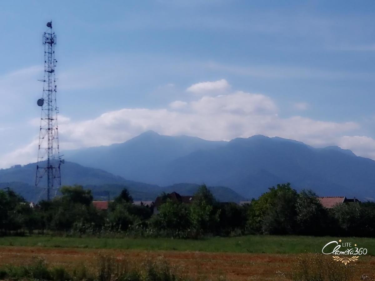 Cazare Apartament Rasnov Appartement Buitenkant foto