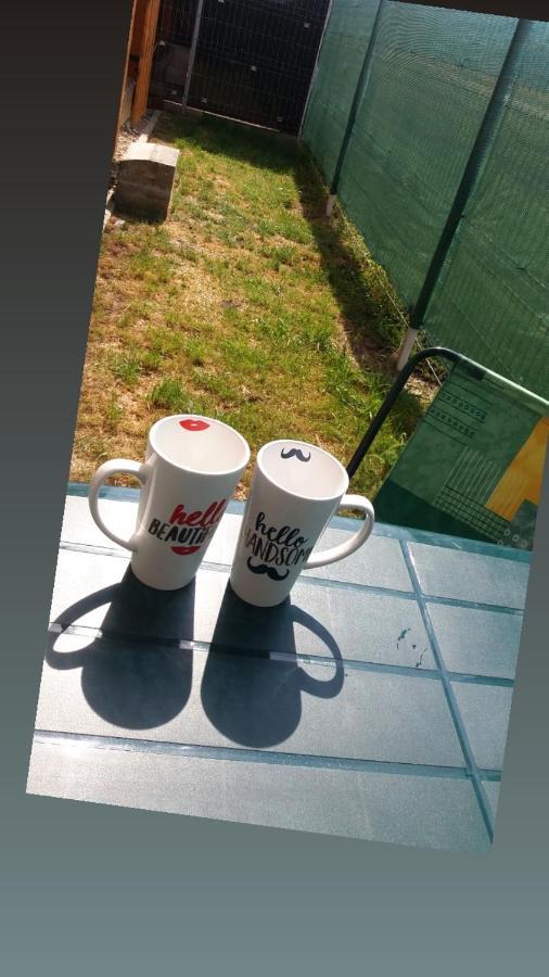 Cazare Apartament Rasnov Appartement Buitenkant foto